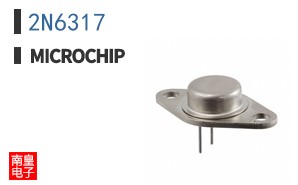 2N6317