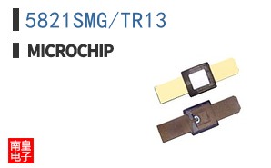5821SMG/TR13