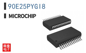 90E25PYGI8