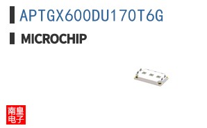 APTGX600DU170T6G