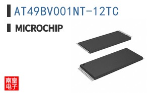 AT49BV001NT-12TC