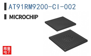AT91RM9200-CI-002