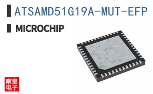 ATSAMD51G19A-MUT-EFP