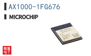AX1000-1FG676