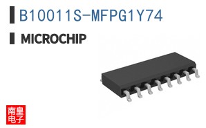 B10011S-MFPG1Y74
