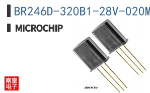 BR246D-320B1-28V-020M
