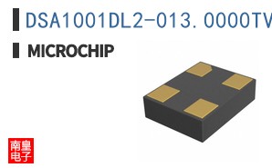 DSA1001DL2-013.0000TVAO