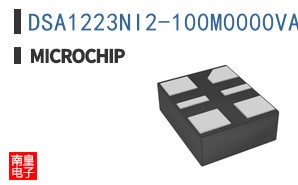 DSA1223NI2-100M0000VAO