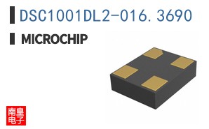 DSC1001DL2-016.3690