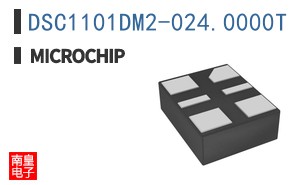 DSC1101DM2-024.0000T