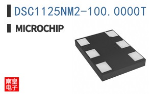 DSC1125NM2-100.0000T