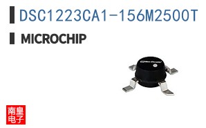 DSC1223CA1-156M2500T