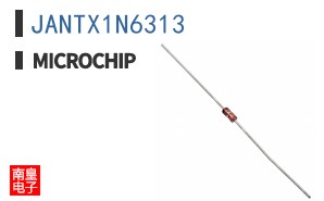 JANTX1N6313