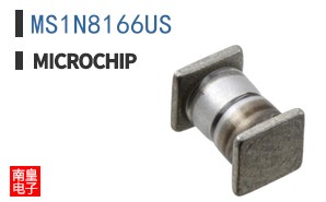 MS1N8166US