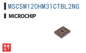 MSCSM120HM31CTBL2NG