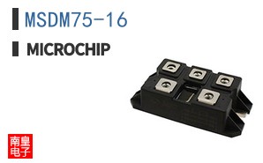 MSDM75-16