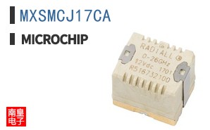 MXSMCJ17CA