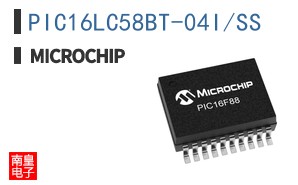 PIC16LC58BT-04I/SS