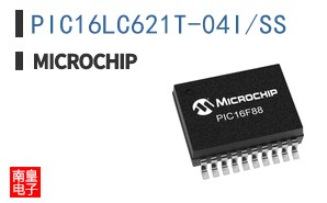 PIC16LC621T-04I/SS