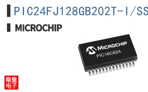 PIC24FJ128GB202T-I/SS