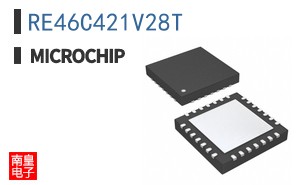 RE46C421V28T