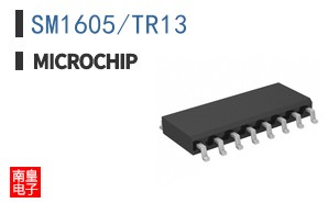 SM1605/TR13