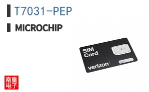 T7031-PEP