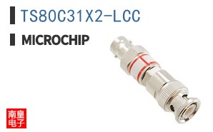 TS80C31X2-LCC