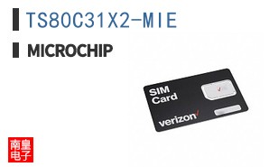 TS80C31X2-MIE