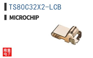 TS80C32X2-LCB